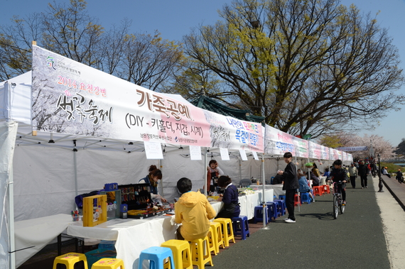 요천 강변 벚꽃축제
