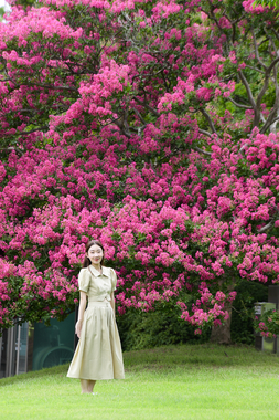 광한루원의 여름(배롱나무꽃) 썸네일 이미지