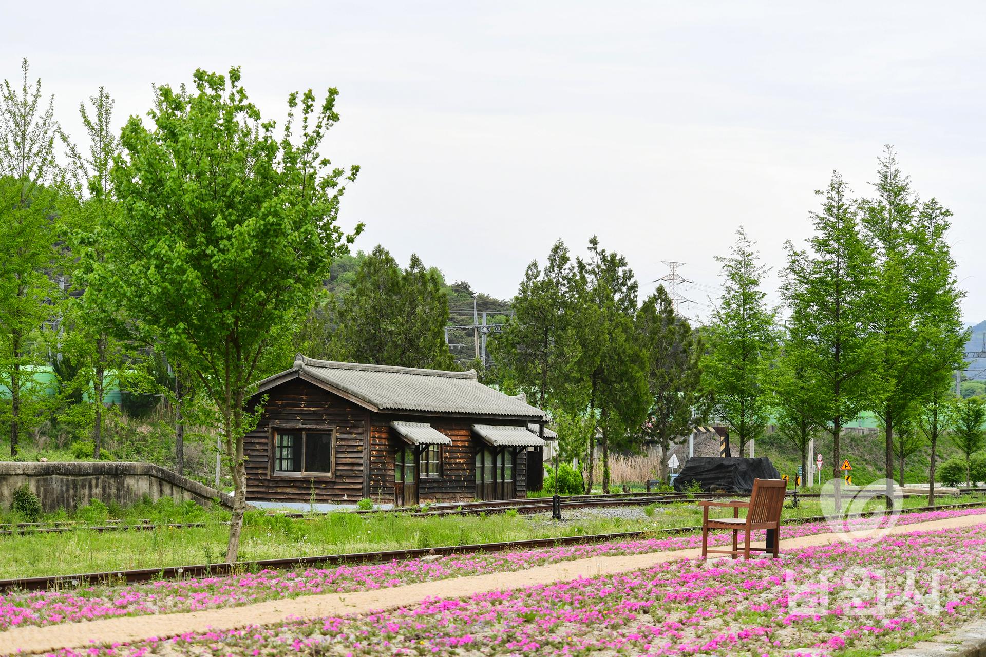 서도역의 봄 워터마크용 사진