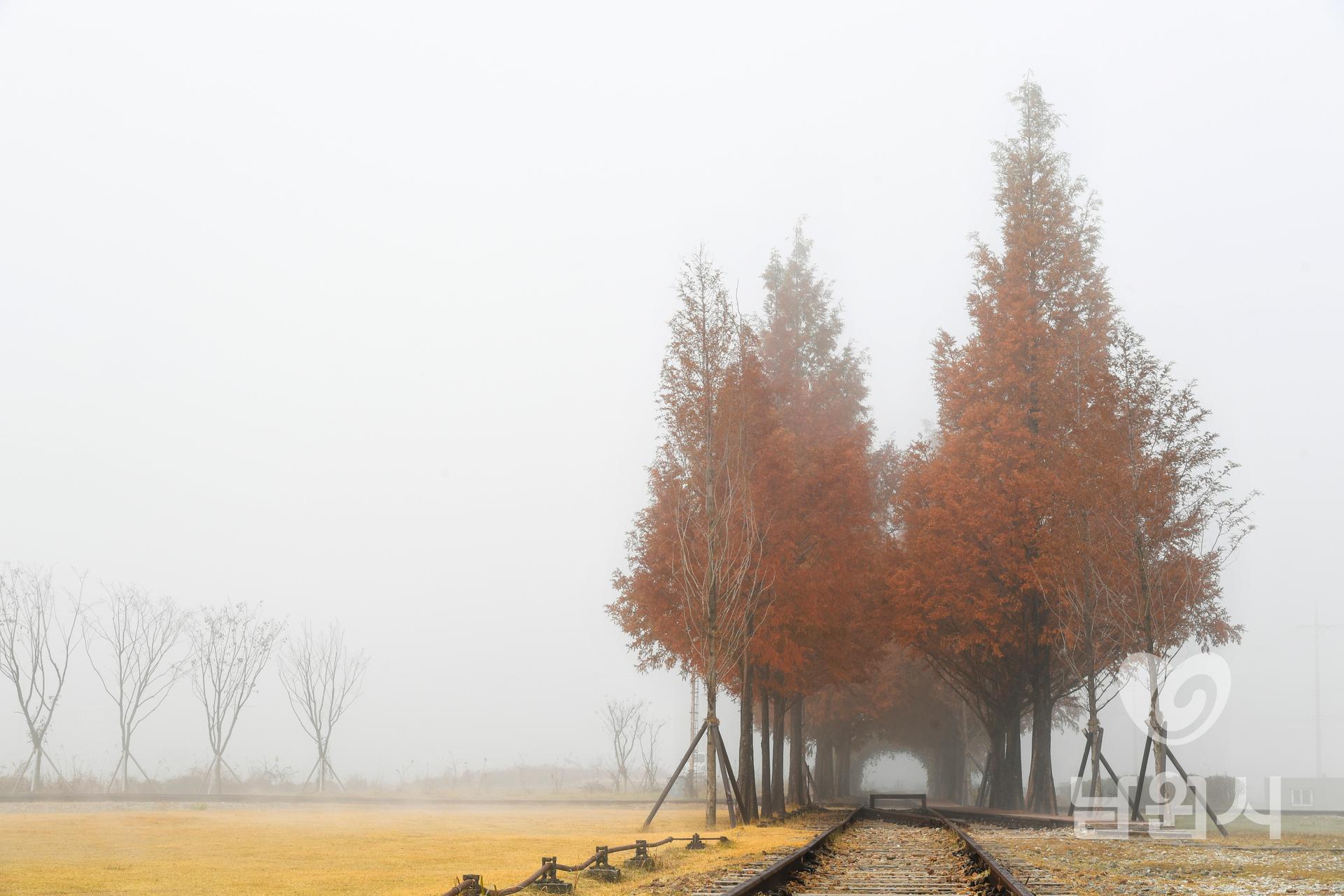 서도역의 가을 워터마크용 사진