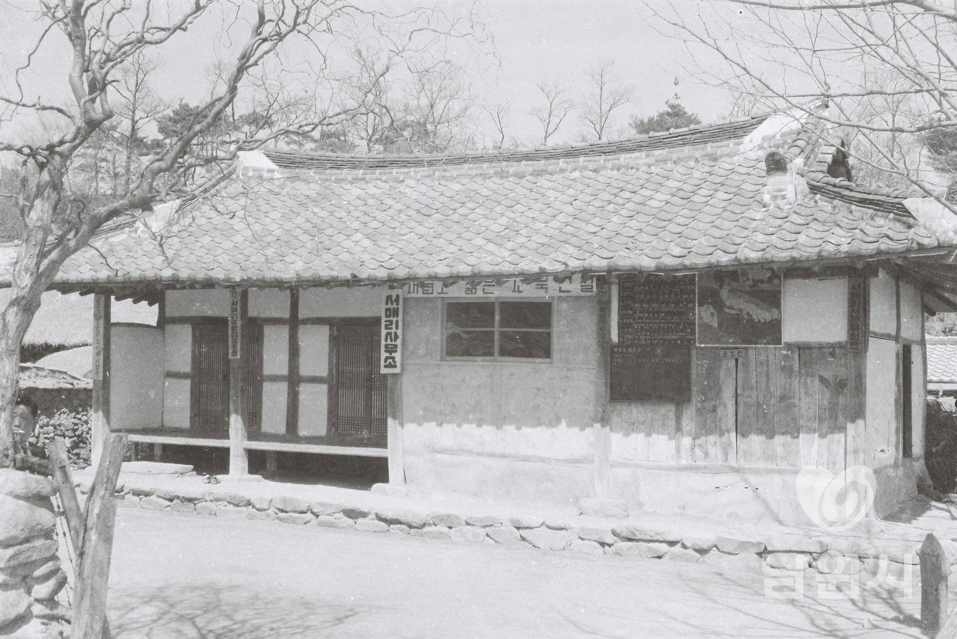 1969년 서매리 사무소 워터마크용 사진