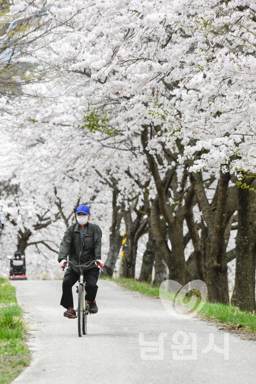 운봉읍 람천 벚꽃길 워터마크용 사진