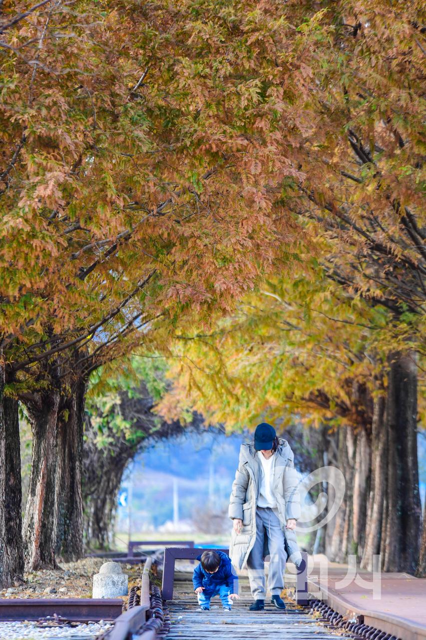 서도역의 가을 워터마크용 사진